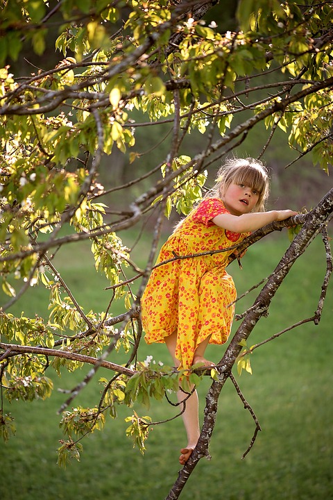 Pige, der gennemsøger i et træ